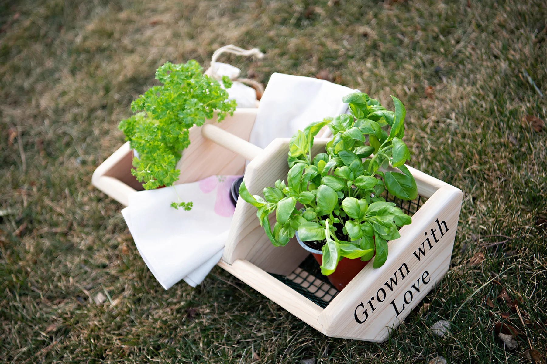 Grown With Love Garden Basket - Image 10