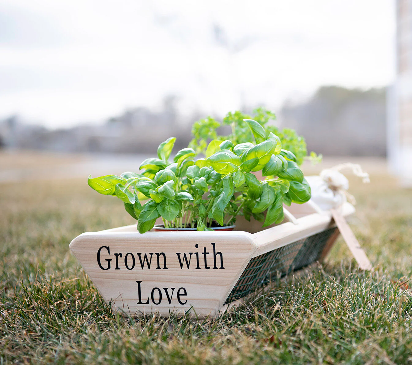 Grown With Love Garden Basket - Image 6