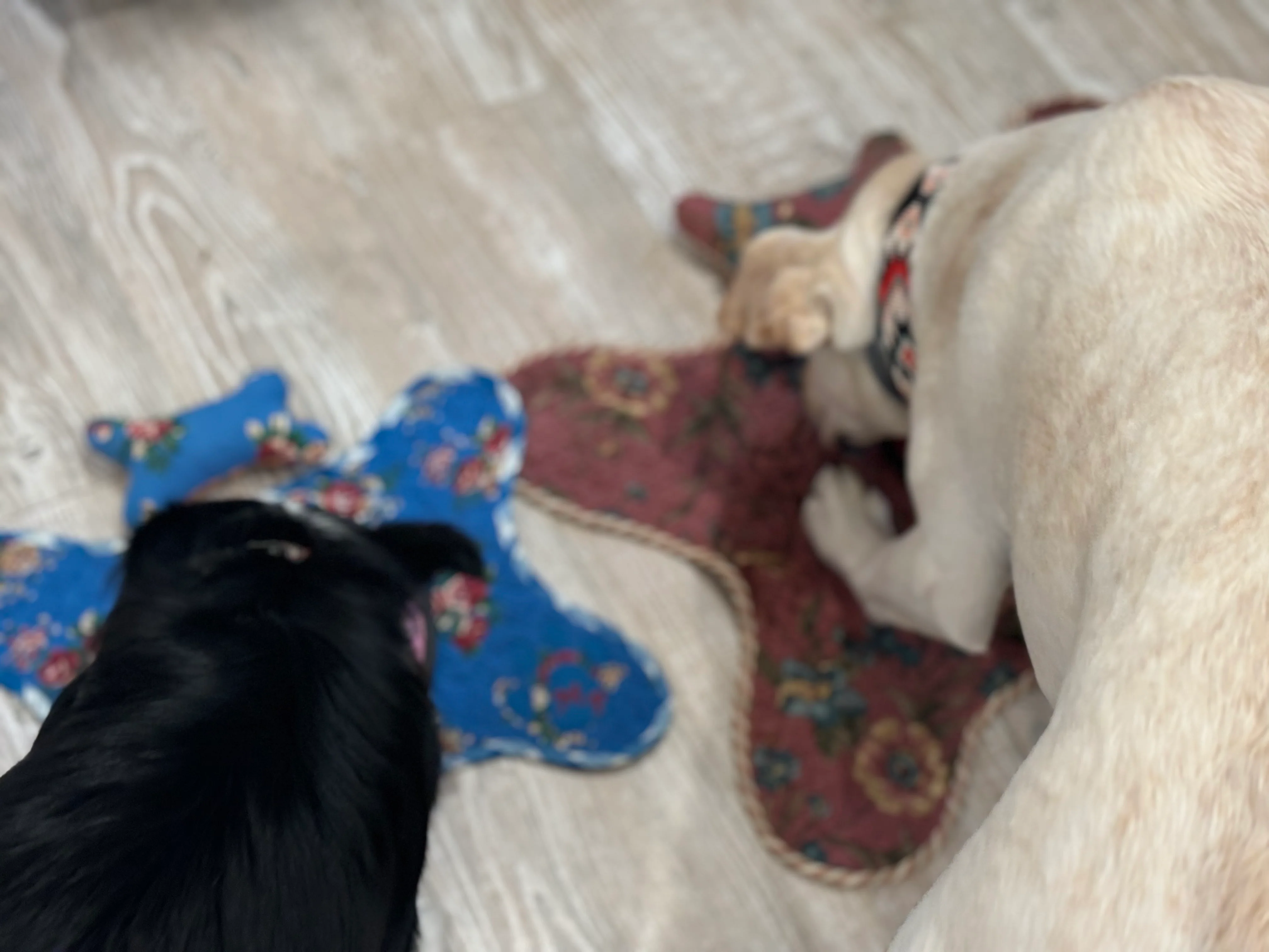 Sundance's Dog Mat and Bone - Image 7